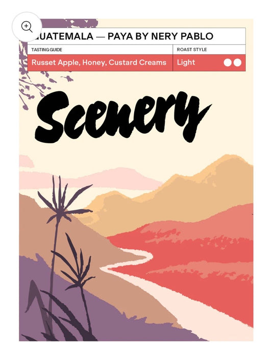 Scenery Coffee; Paya By Nery Pablo 200g